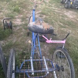 3 Wheel Trike