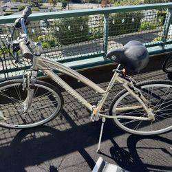 Schwinn Golden Tone Bike 
