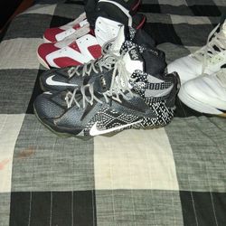 Jordan Carmine LeBron Black History Jordan 5 Retro 6