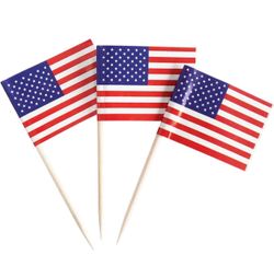 100 PCS American Flag Toothpicks