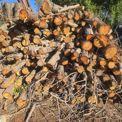 Seasoned Firewood Over A Cord