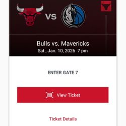 Bulls Vs Mavs
