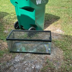 20 Gal Tank With Mesh Cover