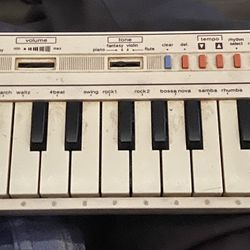 Casio PT-1