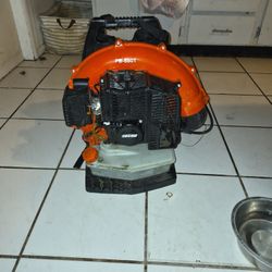 Echo Blower