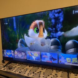 48" Samsung Tv 
