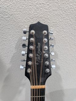 Takamine GD30