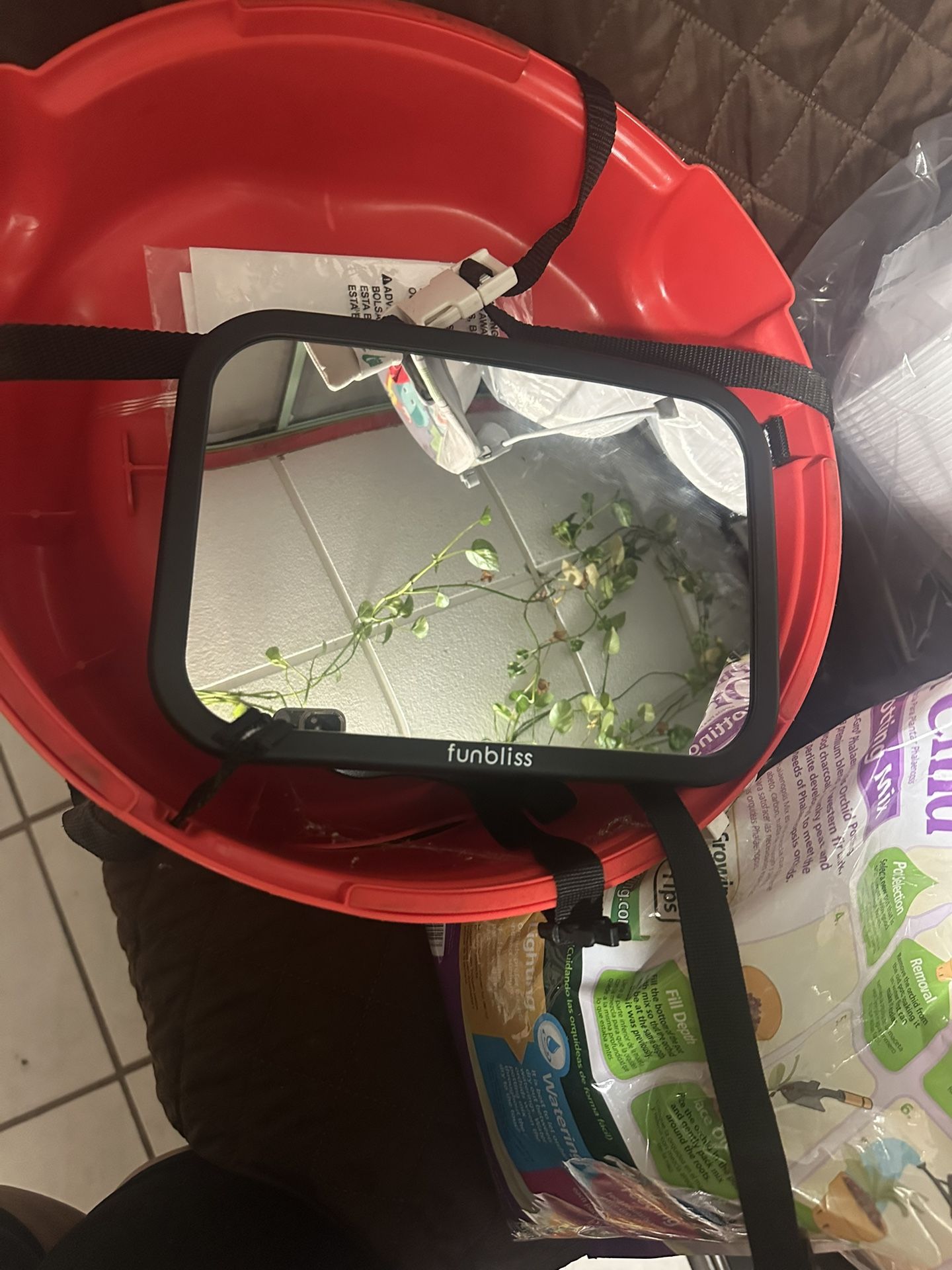 Backseat Mirror And Booster Seat