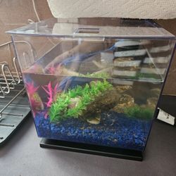 3 Gallon New Fish Tank TETRA With All Gravel/decor/Accessories Inside 