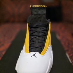 Jordan 14s Ginger 