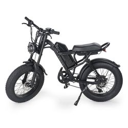 E-Bike 750w 48V 15.6Ah 20 Inches Double Shock Absorption Brushless Motor Ebike Mountain Sports