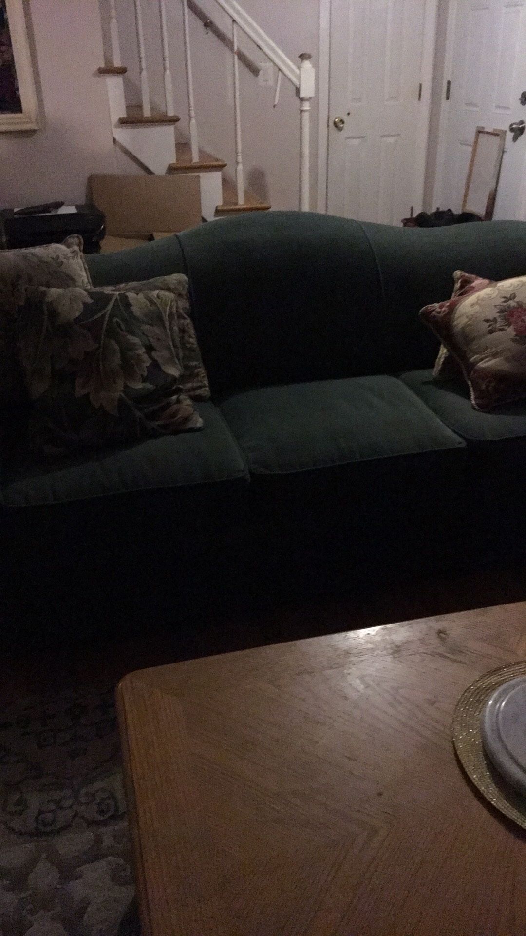 Sleeper Sofa. Moving Must Sell ASAP