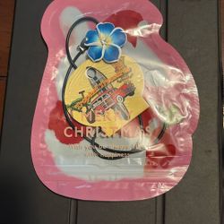 Merry Christmas Necklace Sealed