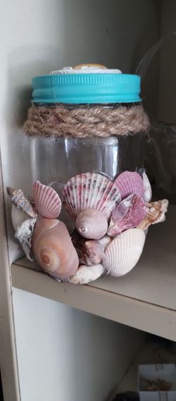 Seashell jar