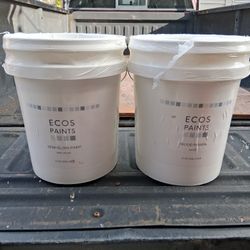 Ecos Odor Free Paint
