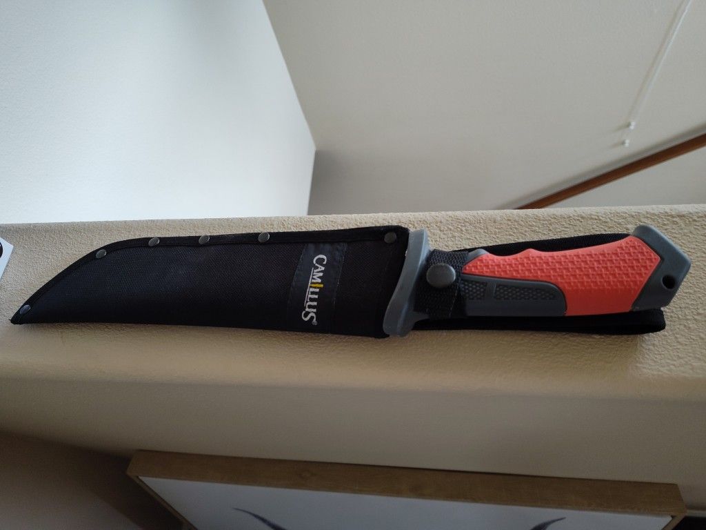 Folding Saw