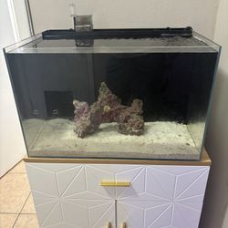 Pecera 30gl  Todo En Uno