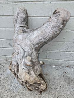 Driftwood 17x10x8