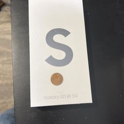 Galaxy S21 FE 5G
