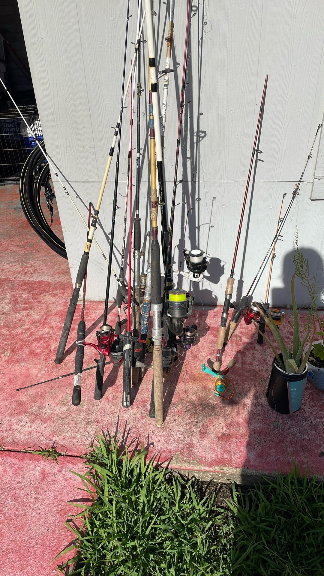Fishing Rods