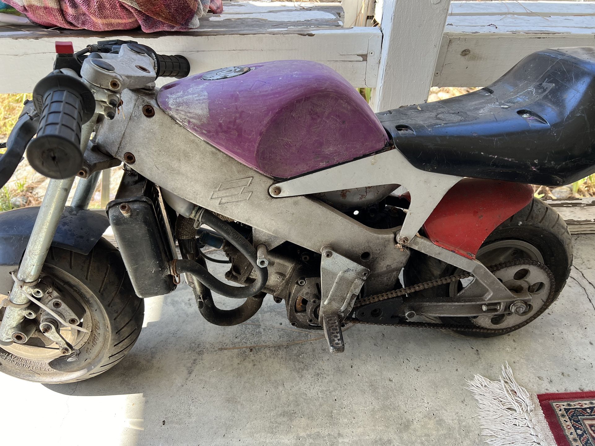 Polini Water Cooled Race Bik