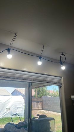 Plant light