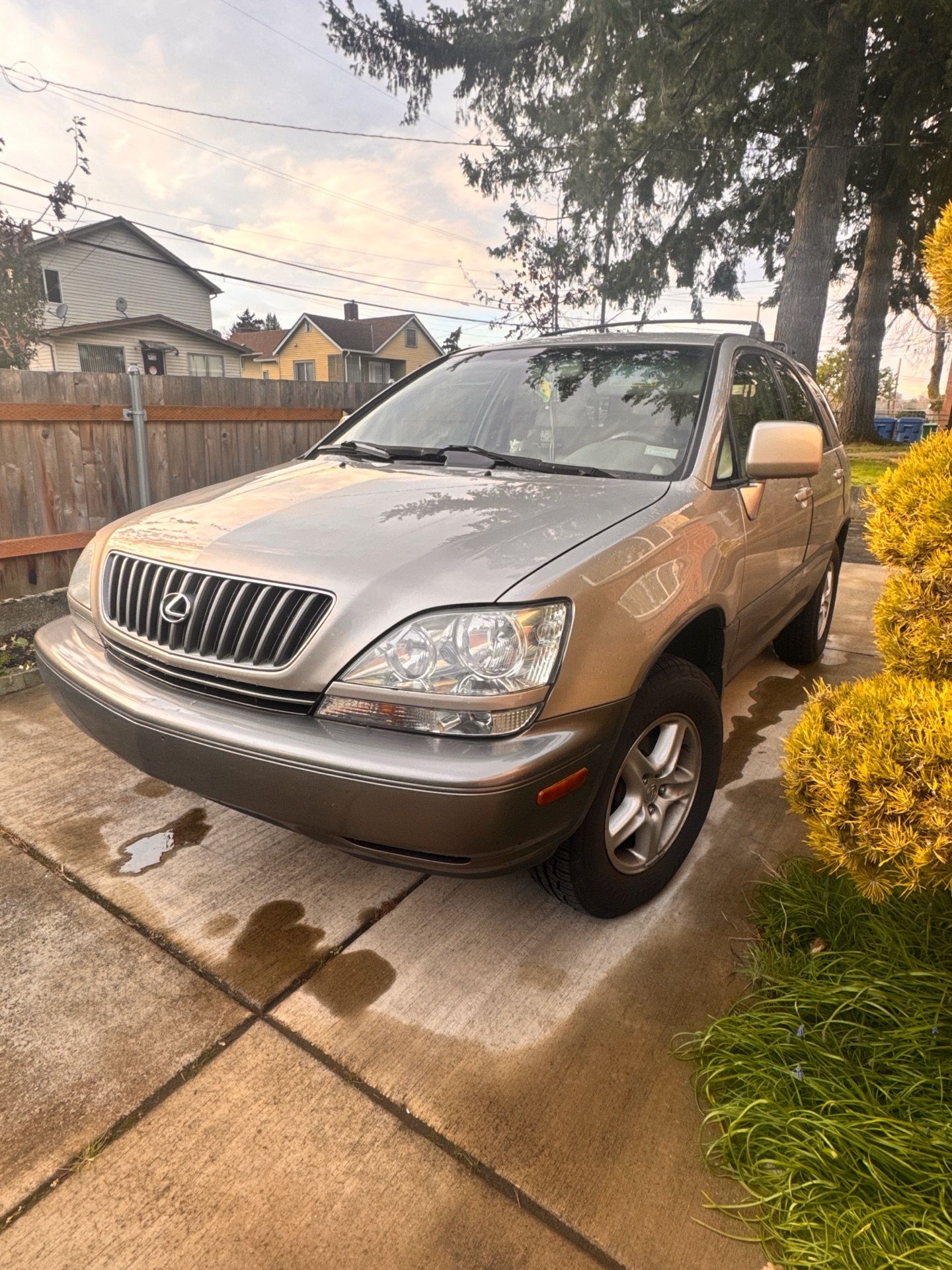 1999 Lexus Rx 300