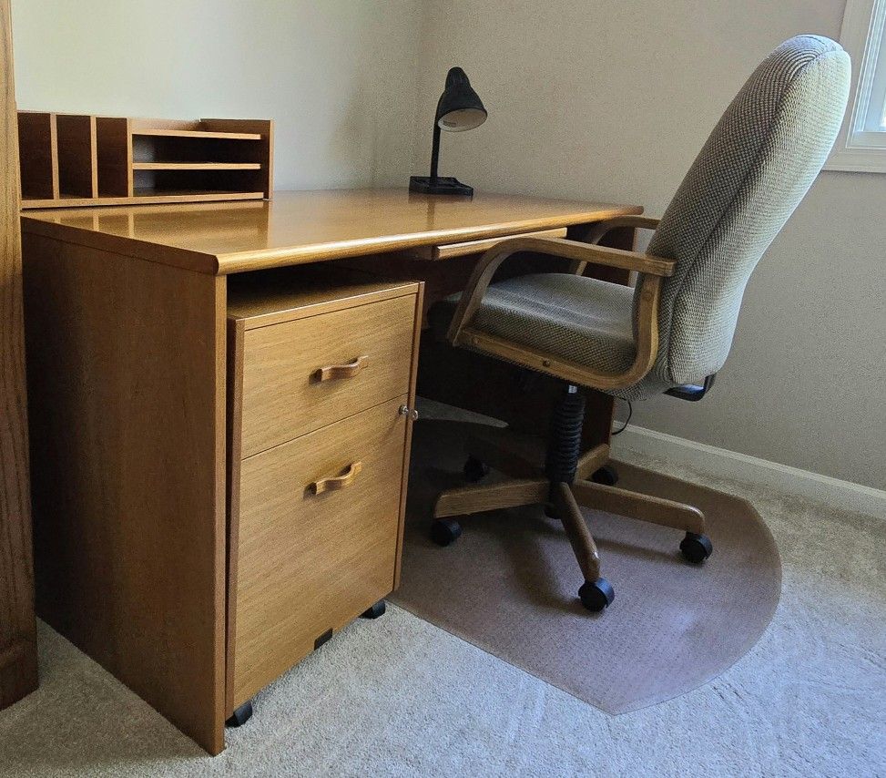 Office Computer Work Desk File Cabinet Set Dania Furniture Teak Wood
