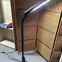 Standing Light