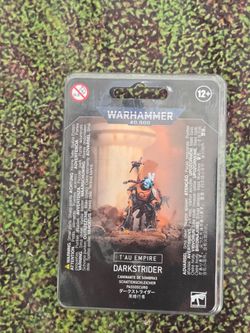 40k Tau darkstrider and ethereal
