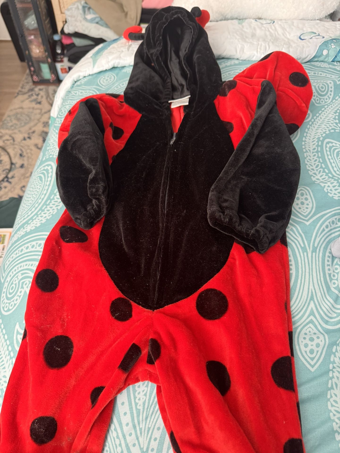 Ladybug costume, size and pictures