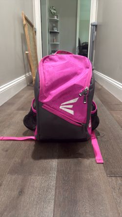 Easton Softball or Baseball bag