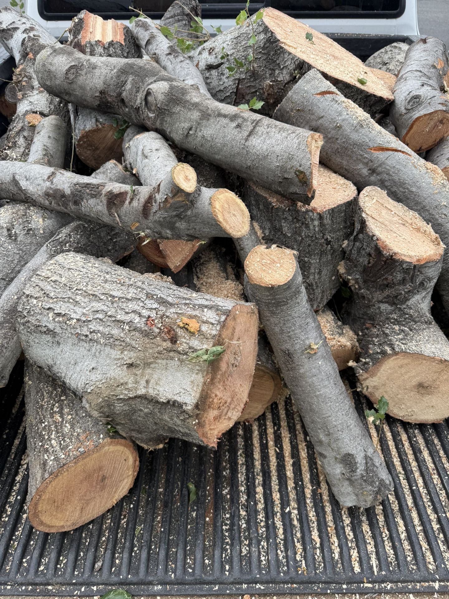 OAK WOOD ($150 For All)