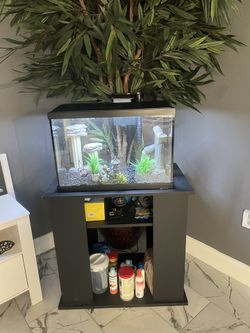 20 Gallon Fish Tank With Pump And Supplies