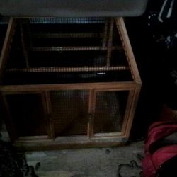 Bird Cage 
