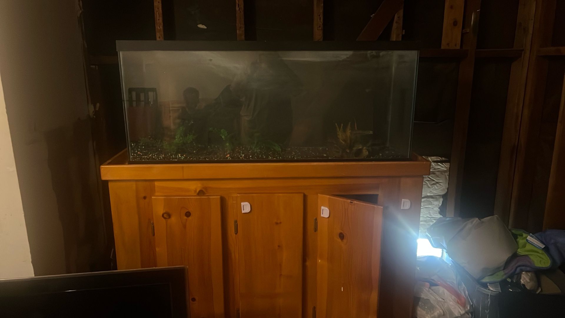 Fish Tank