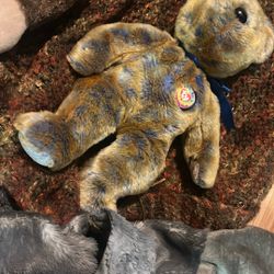 Beaniebaby official 2000 club -beanie buddies collection