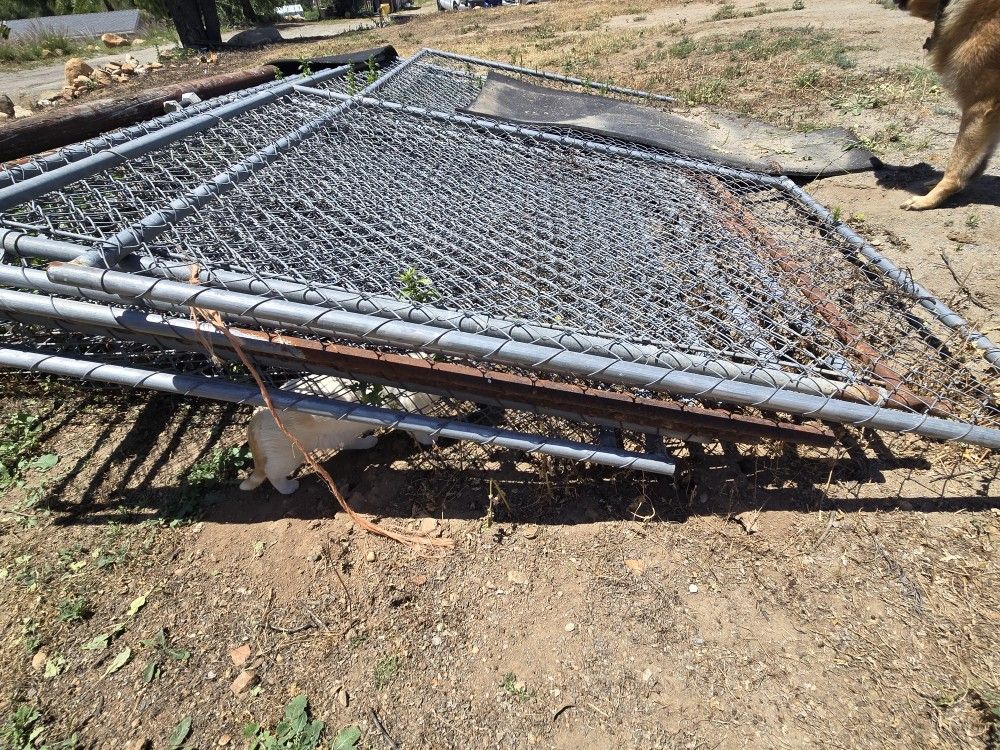 Cage Kennel Dog Crate