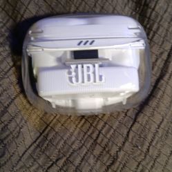 Jbl Flex 2 Earbuds