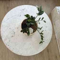 39” Pottery Barn Marble Coffee Table