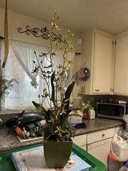 Plants Artificial