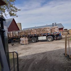 Firewood