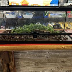 20L Front Opening Reptile Enclosure $50