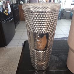 Disneyland Tumblr Silver Chrome