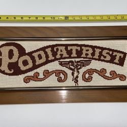 Vintage Needlepoint PODIATRIST Sign Antique Folk Art Framed