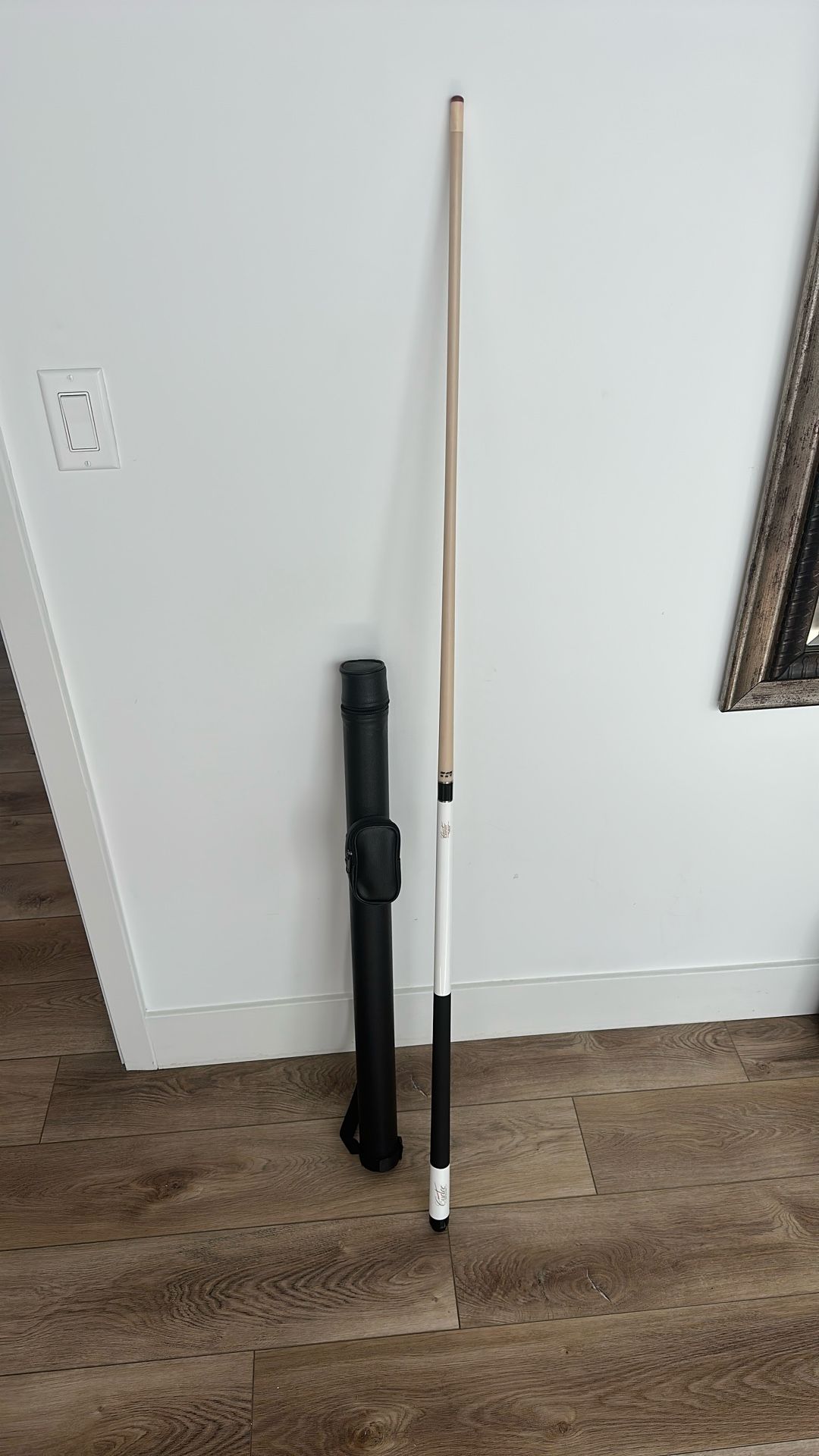 Pro Pool Stick with Leather Case
