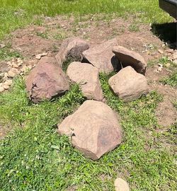 Free Rock - only a few left