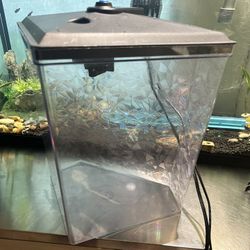 GloFish Aquarium 