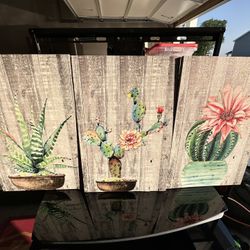 Succulent Paintings 