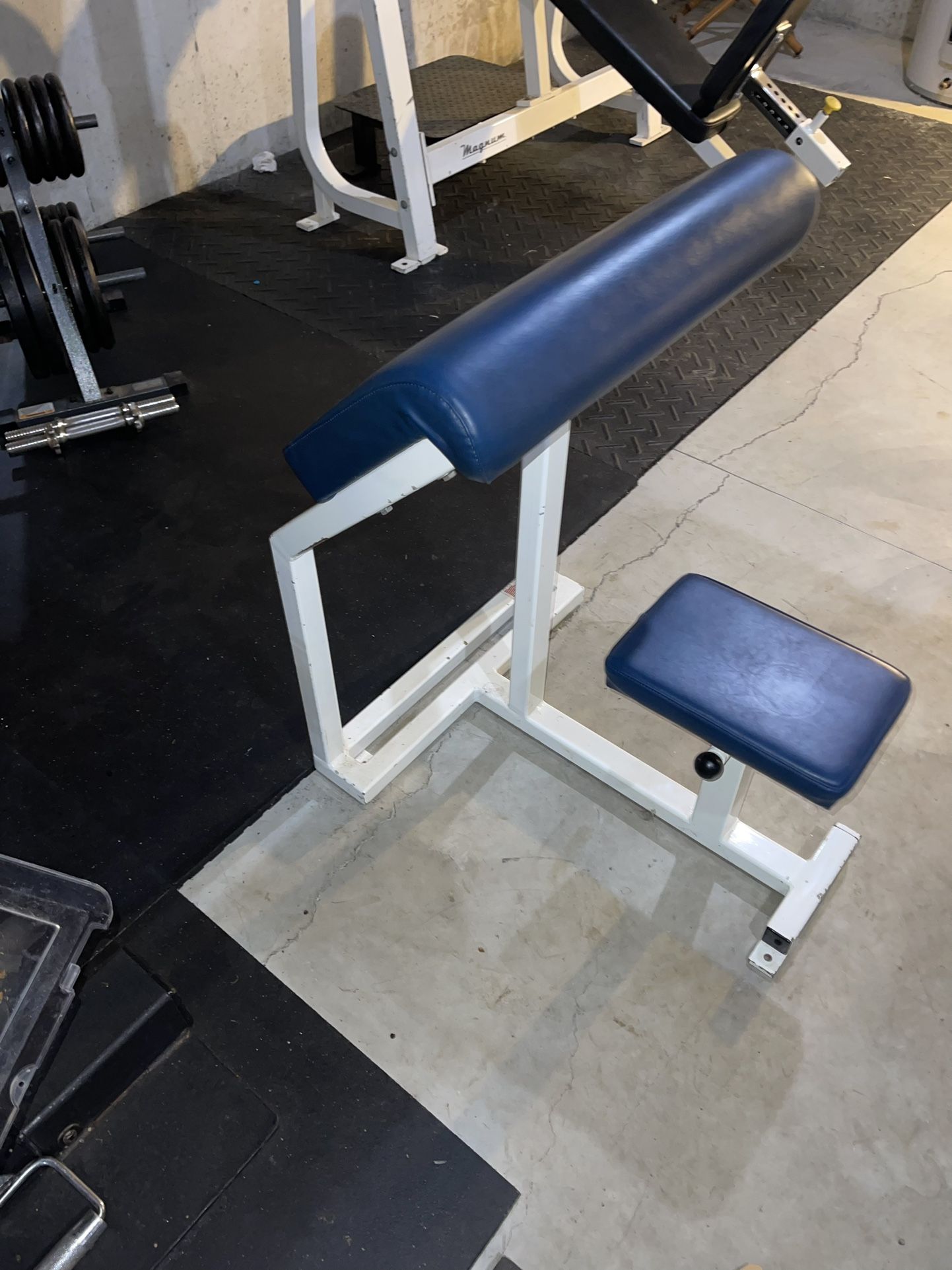 Entire High Quality Home Gym